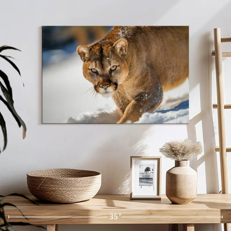 Brampt Cougar In Snow, 16" H x 24" W