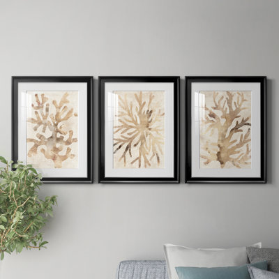Parchment Coral I - 3 Piece Single Picture Frame Painting Set