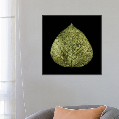 " Green Leaf " by PhotoINC Studio