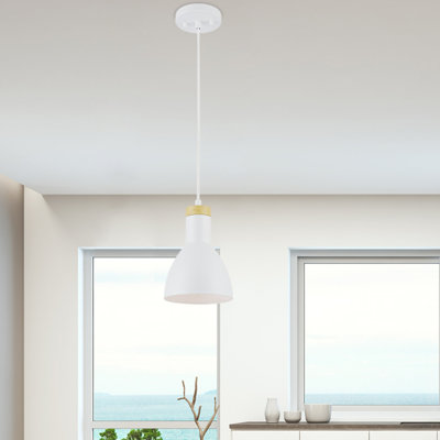 Harrsion 1 - Light Single Pendant