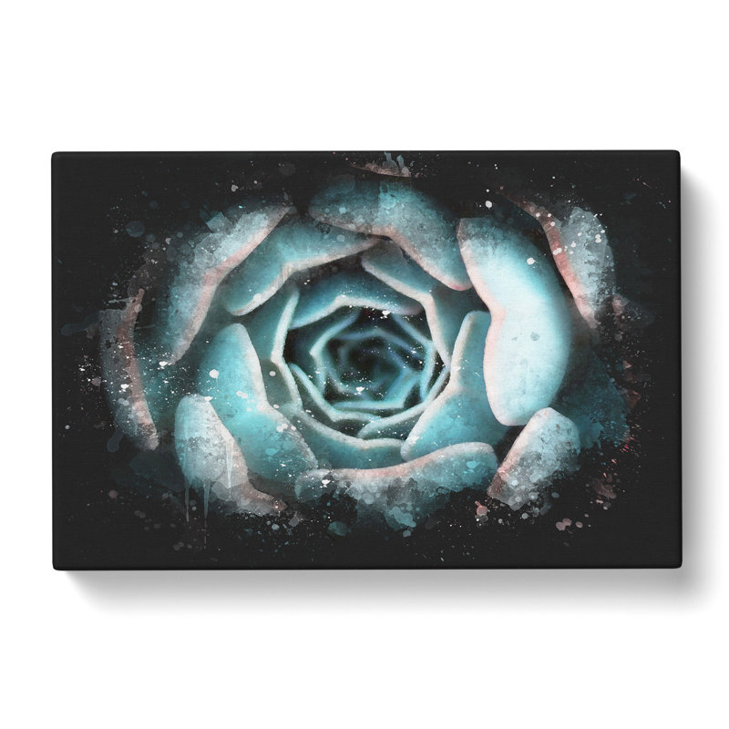 Pink And Green Succulent Plant - Wrapped Canvas Painting, 35cm H x 50cm W x 3cm D