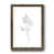 Papier, cadre noyer