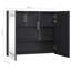 Allentown 80 mm W 68 mm H Surface Framed with Mirror and 3-1342156830