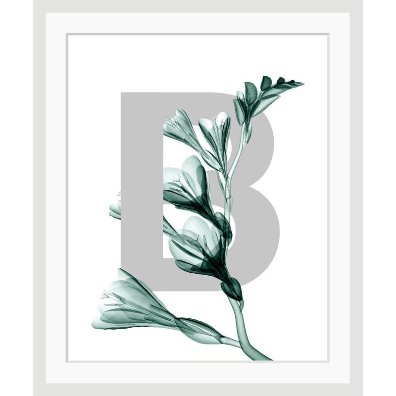 Letter B - Single Picture Frame Print