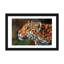 « jaguar look », reproduction d’impression sur toile-72415867-72415408-33109443