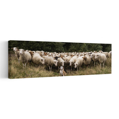 Dog Among Sheep 1 Piece Wrapped Canvas Panoramic Wall Art