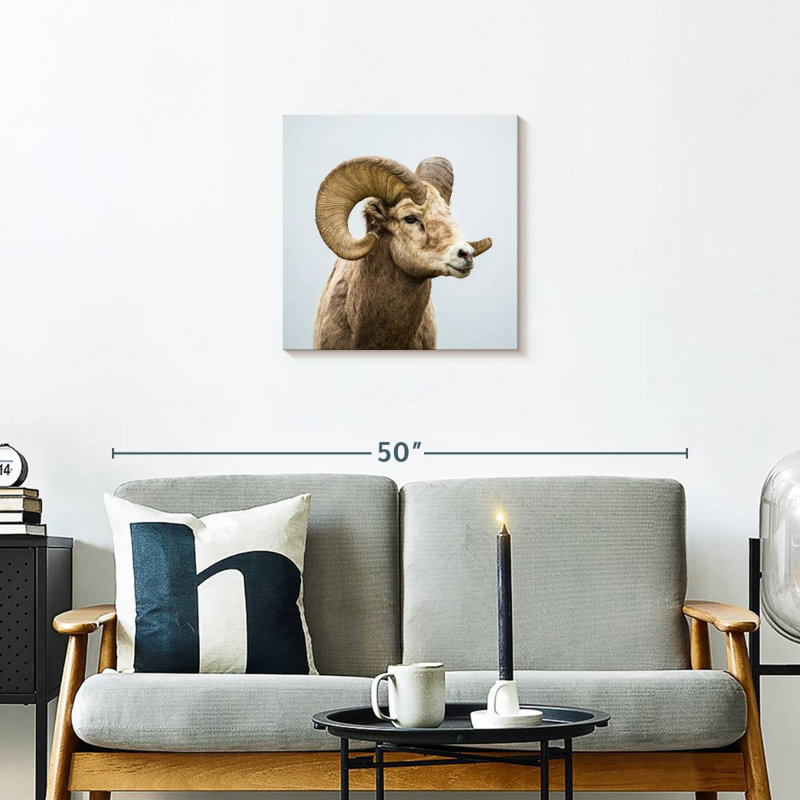 Mouflon solitaire, H 20 po x l 20 po