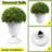 2 Pcs 23”artificial Plastic Boxwood Ball Tree