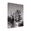 Art sur toile «bolologuf studio III Cactus Bw Las Vegas»-103093066