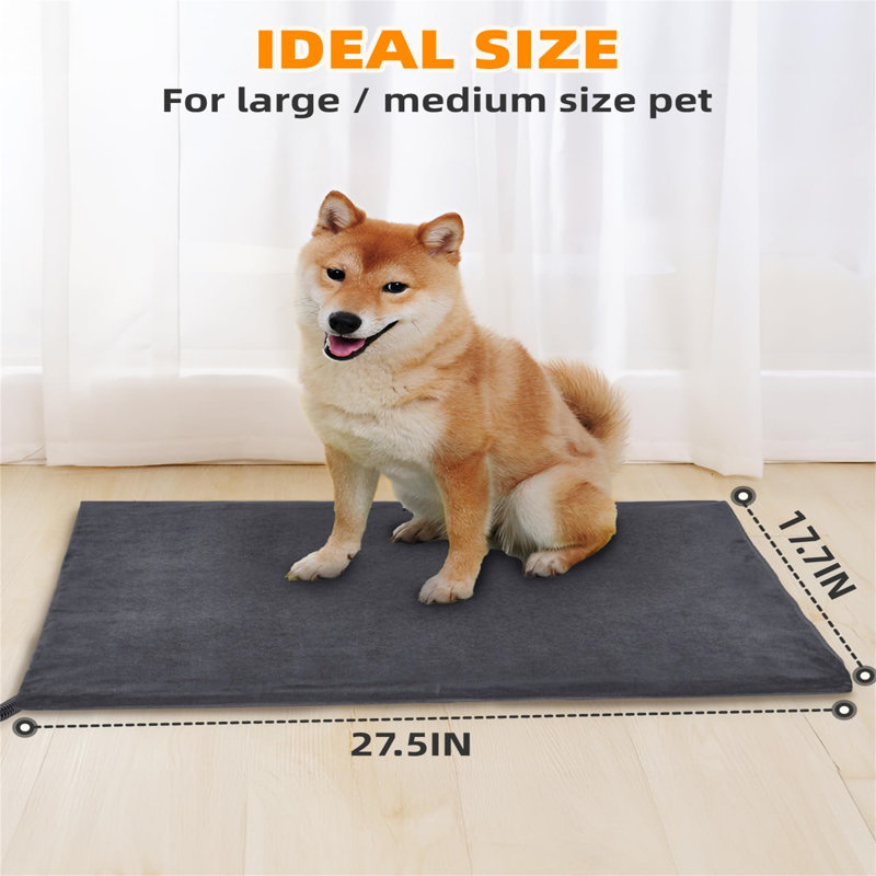 Linzy Pet Bed Cushion, 5cm L x 70cm W