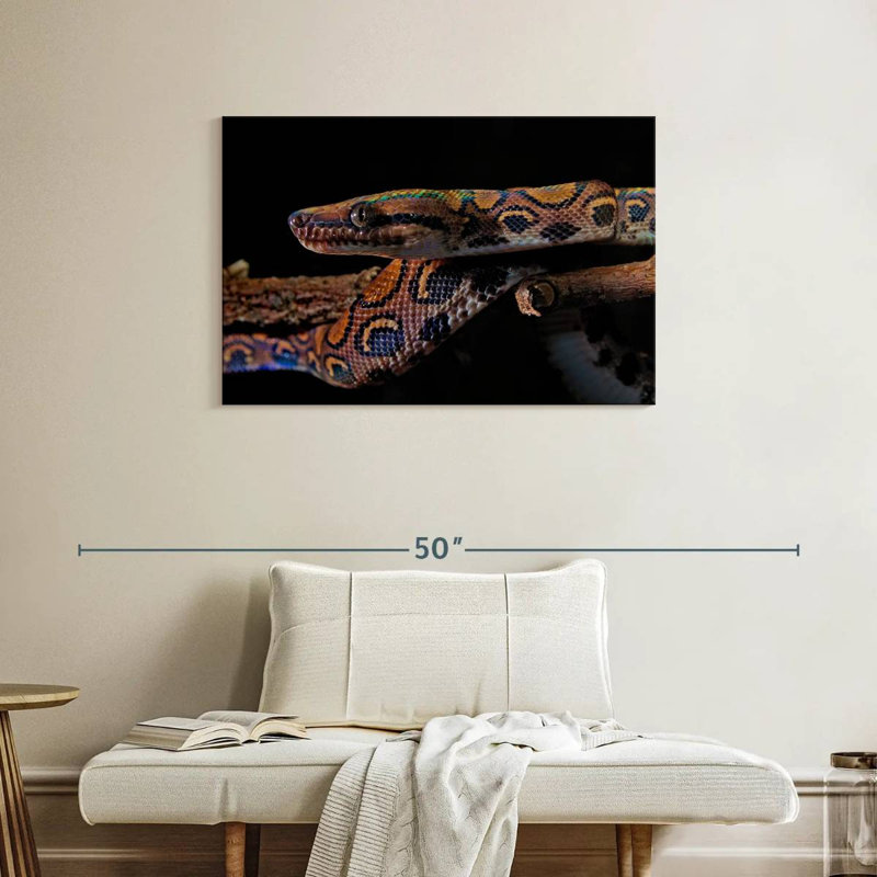 Brampt Rainbow Boa Snake, 24" H x 36" W