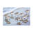 Bolog Michel Romaggi Escape Canvas Art-109225954