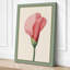 Pink Carnation Study Botanical - Wrapped Canvas-1805172491-1805172503
