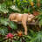 Lioness of Namibia Statue