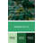 Watercolor Abstract 43 Green Canvas Wall Art