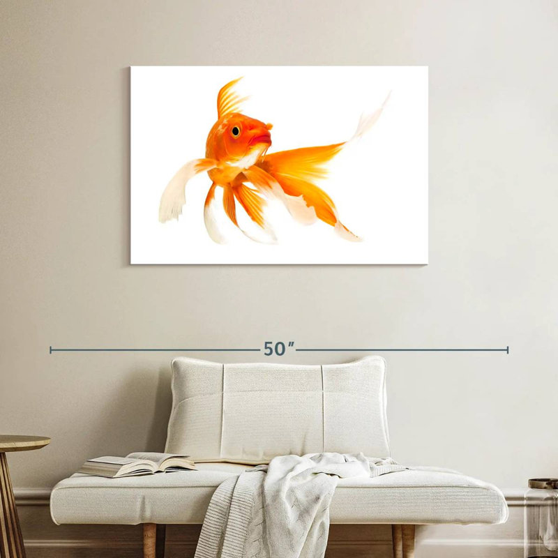 Brampt Goldfish, 26" H x 39" W