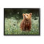 Conception d'art sur toile Stupell Industries Bear & Butterfly in Meadow par Mark Kelso-91326024-91326027