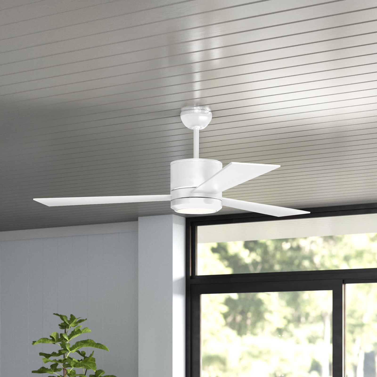 Tulsi Ceiling Fan with Light Kit, Matte White with White Blades, 42