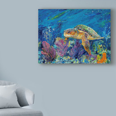 « loggerhead turtle », reproduction de peinture à l’acrylique sur toile tendue