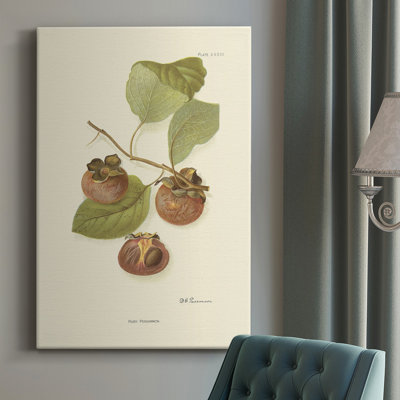 Persimmon II - peinture sur toile tendue