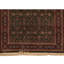 Wool Oriental Area Rug