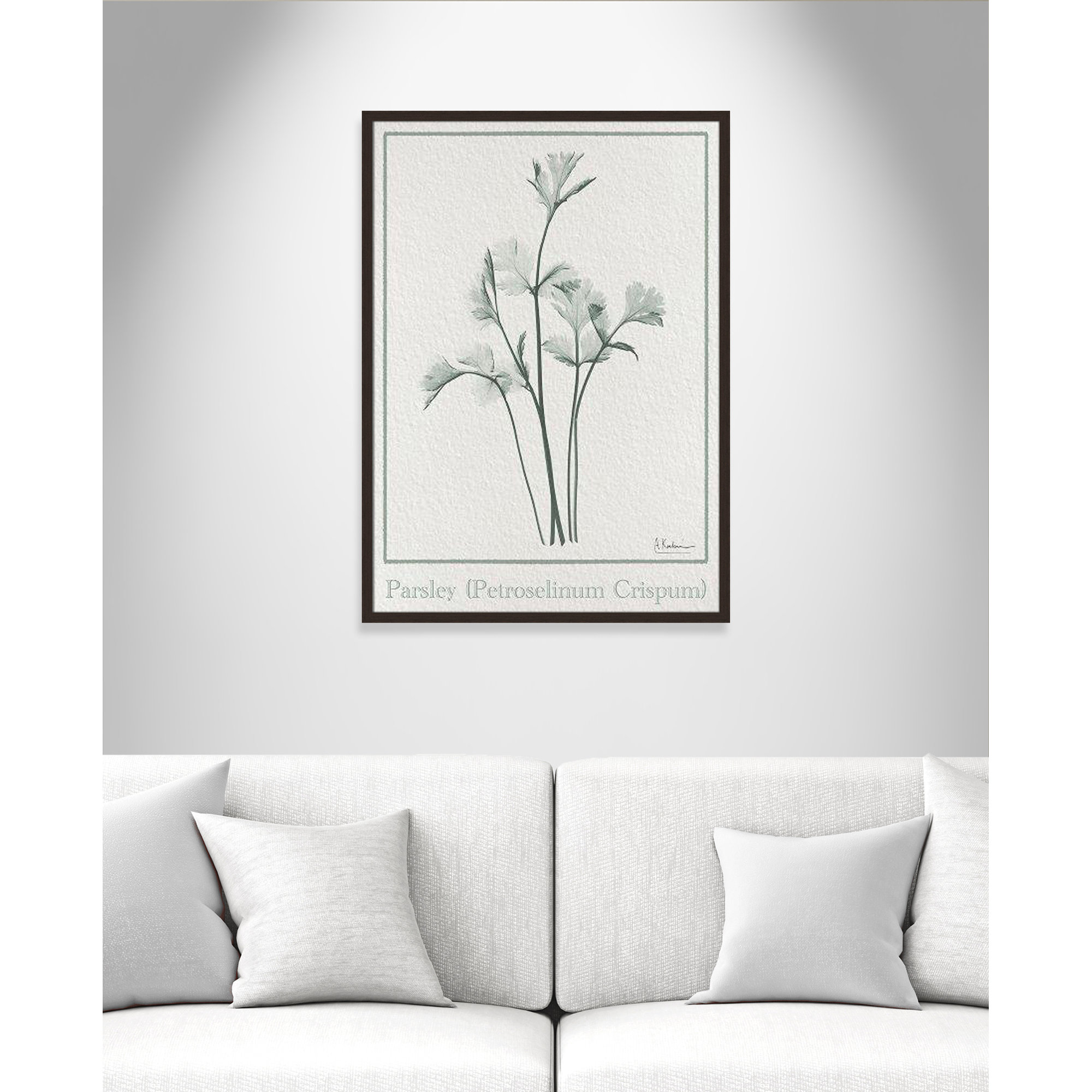 Parsley II Framed On Paper by Albert Koetsier Print, 35.5" H x 25.5" W x 1.25" D, Open Grain Walnut Framed Paper