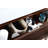 Royka 71.63'' Double Bathroom Vanity with Acrylic Top-1455271113