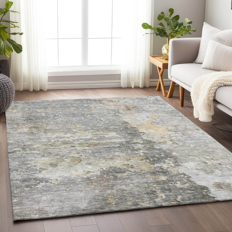 Tapis gris intérieur / extérieur lavable à la machine Claudian ACN1234, Rectangle 8 pi x 10 pi
