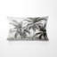 Coussin Palms & Palm Trees-135800377