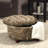 Colma Upholstered Velvet Storage Ottoman