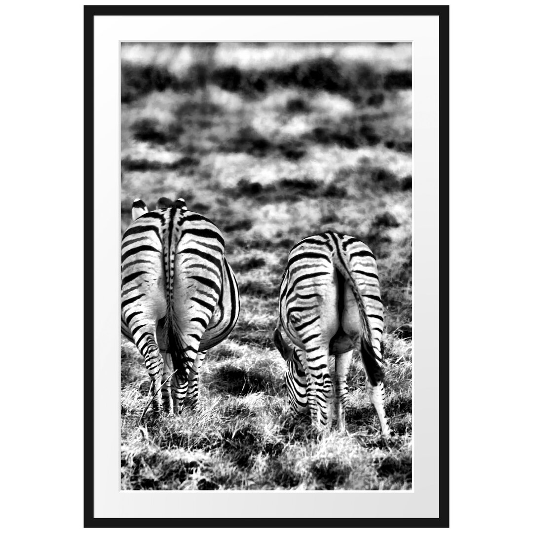 Gerahmtes Poster Zebras with White Birds