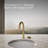 Aquifer4-In-1 Short Arc Beverage Faucet-123403631