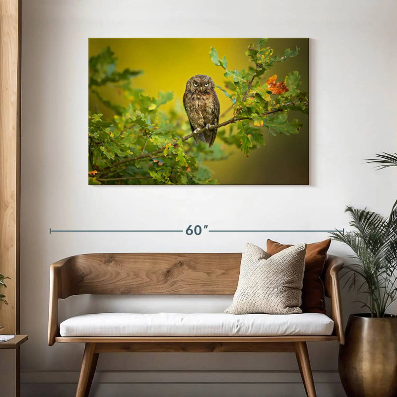 Owl Perching On Tree, 30" H x 45" W
