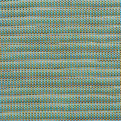 SAMPLE-Sling Mesh Vinyl Fabric