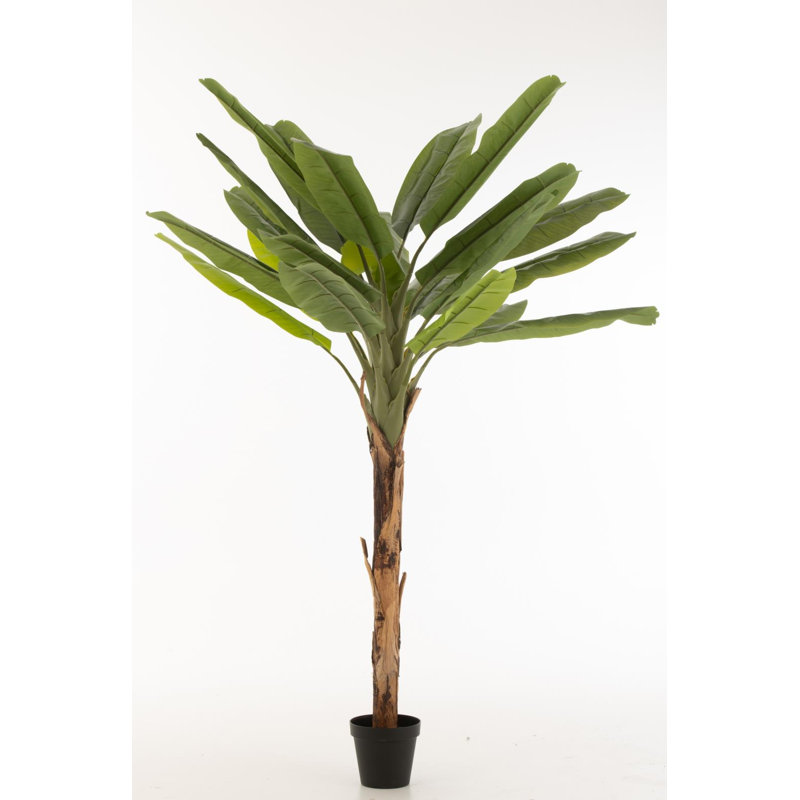 129 cm H Faux Fiddle Leaf Fig Tree Plant in Plastic Pot