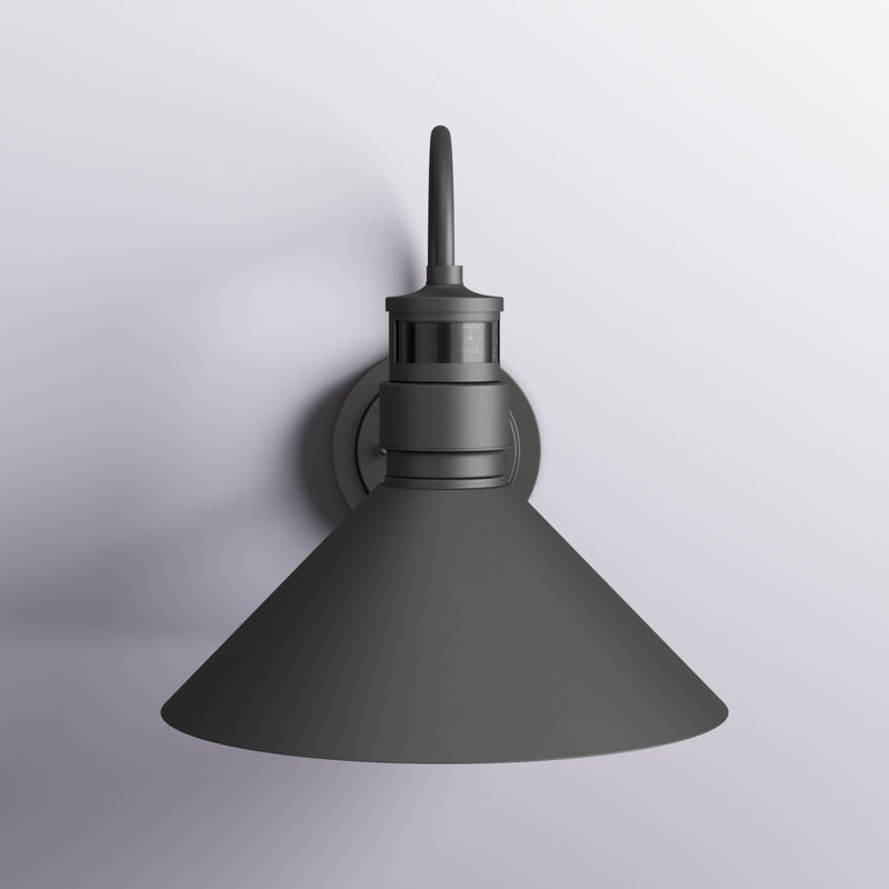 Rafal 1-Light Dusk To Dawn Sensor and Motion Sensor Outdoor Wall Lights