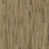 Auburn Teak
