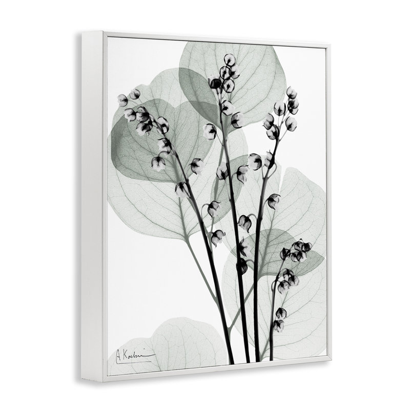 Giclée encadrée de fines herbes fraîches, design par Albert Koetsier, H 14 po x l 11 po