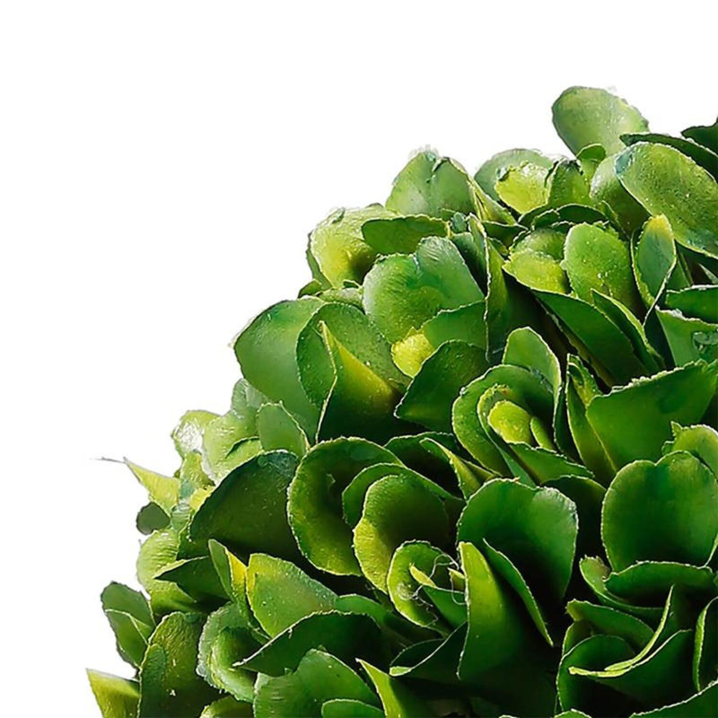 Topiaire buis en pot, H 7,1 po x l 5,5 po x P 5,5 po