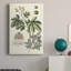 Imperial Foliage I - Wrapped Canvas Print-1951056722