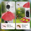 Smart Hummingbird Feeder with Camera, Anti-ant Mounting and AI Recognition