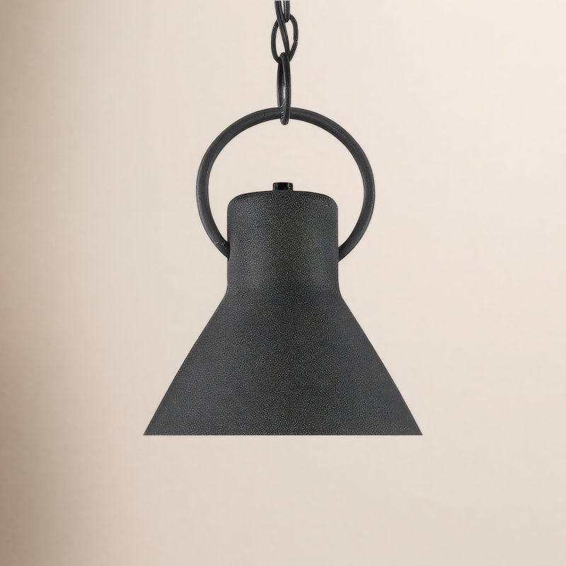 Dax 1 - Light Black Single Pendant, Aged Zinc, 15.5" H x 12.25" W x 12.25" D