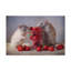«Rats Strawberries» de Hasegawa, reproduction de photo sur toile tendue-30313440