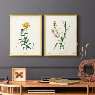 Traditional Botanical III - reproduction encadrée de qualité supérieure - prête à être accrochée - aucun clou requis - aucun clou requis