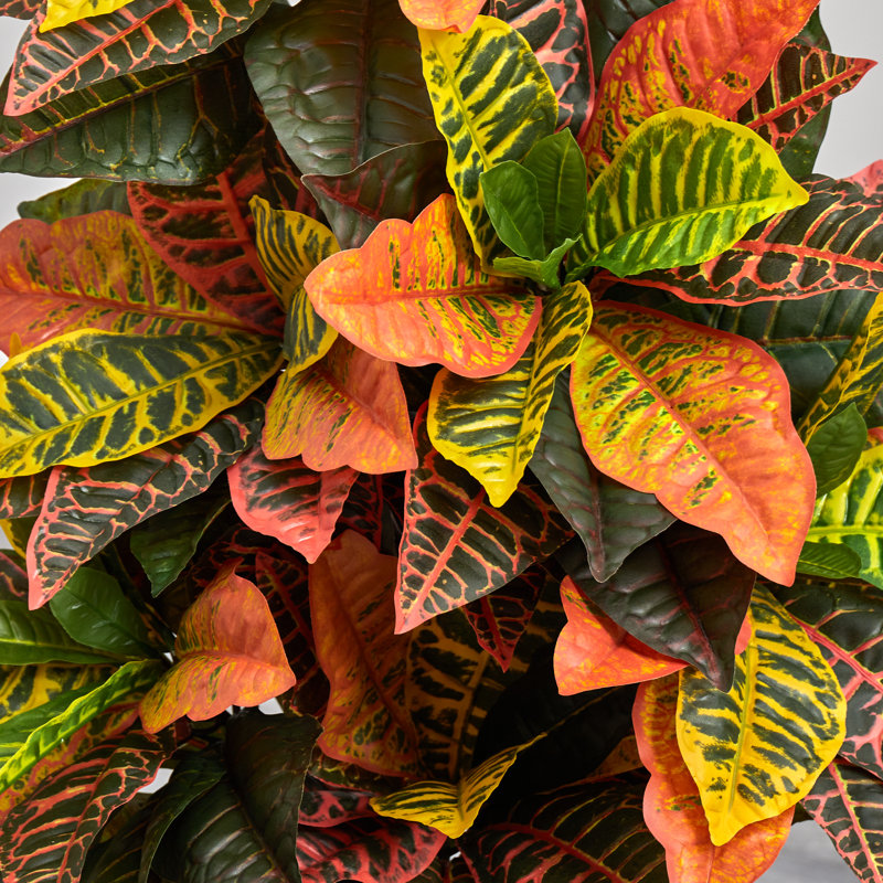 Plante croton artificielle en pot de fleurs
