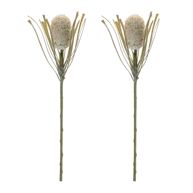 Tige florale Protea, Vert