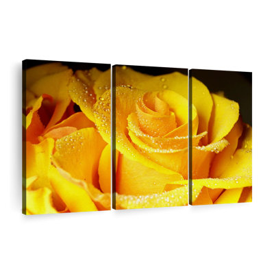 «Dewy Yellow Rose», reproduction sur toile
