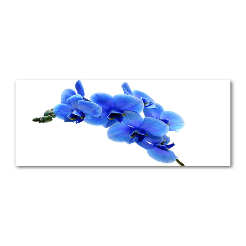 Blue Orchid - Wrapped Canvas Print