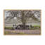 «The Favorite Tree» par Robin-Lee Vieira, reproduction d'art-129015900-129015906-129015907