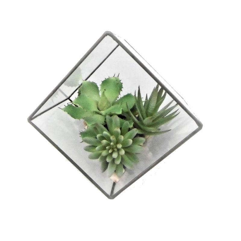 Arrangement artificiel de plantes grasses et terrarium, H 7,5 po x l 7 po x P 7 po